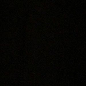 Meet your Posher, Ginger